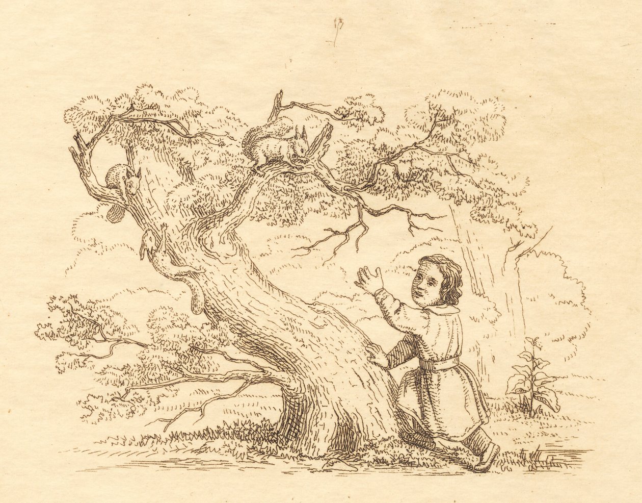 Illustration for 