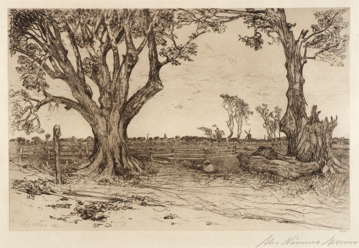 Old Lindens - Near Easthampton by Mary Nimmo Moran