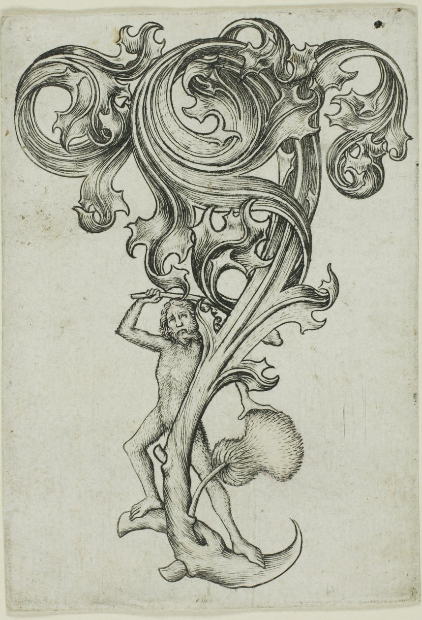 Thistle Ornament with Wild Man by Master E.S.