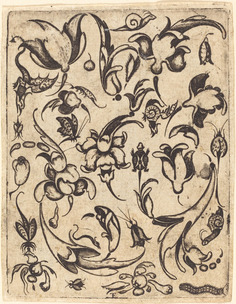 Ornament by Master T.F.