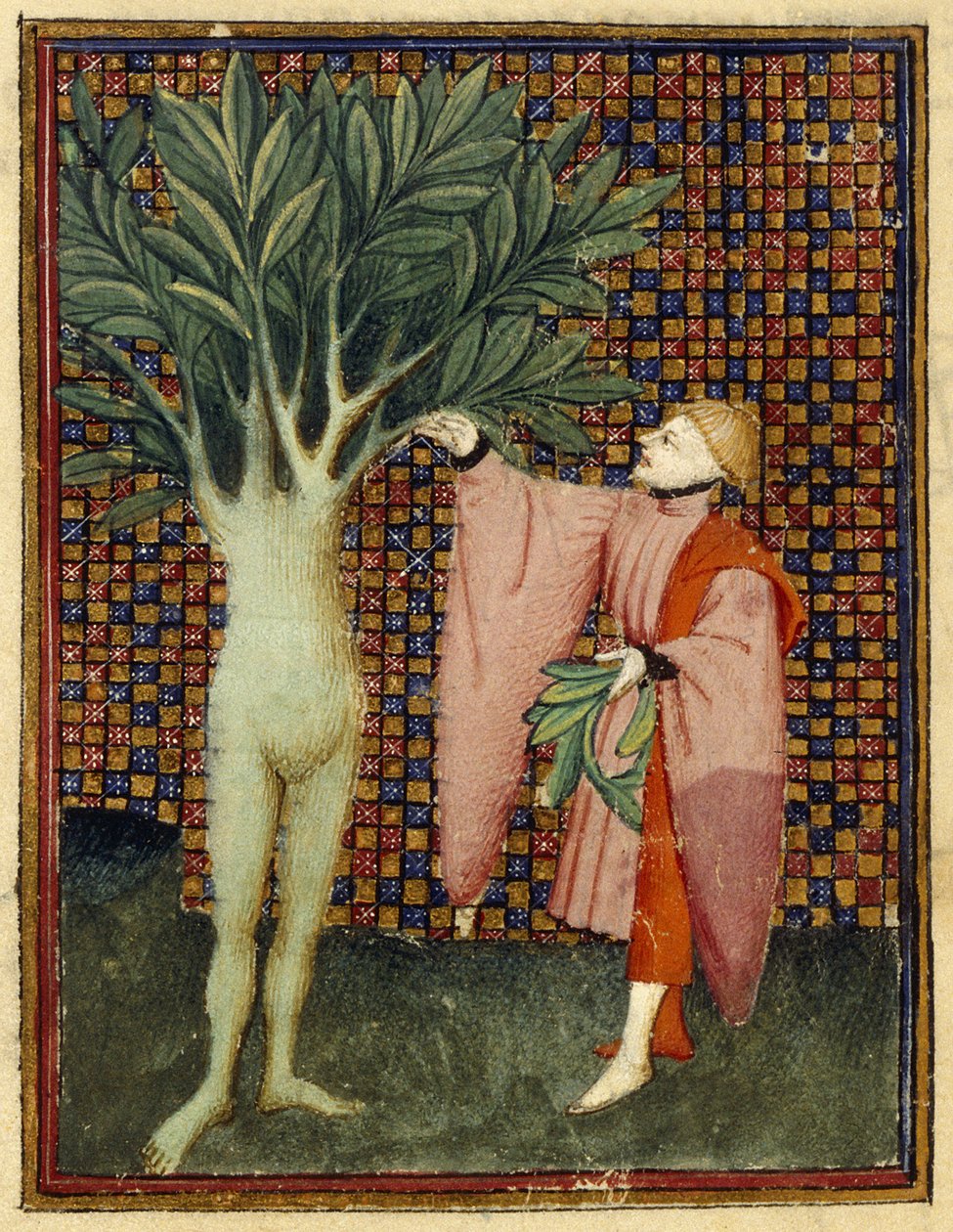 Apollo and Daphne by Master of the Cité des Dames