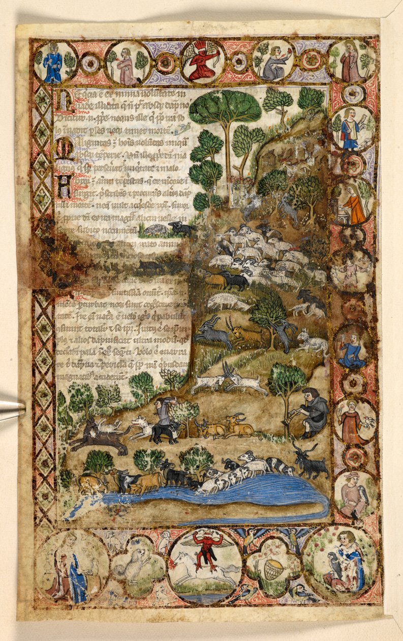 Geometric full-page borders of rhomboids, roundels, and quatrefoils inhabited by animals and figurative scenes: Shepherds watching over sheep and goats and fighting off wolves, a red devil standing on horseback in the border, from a Treatise by Master of the Cocharelli Codex