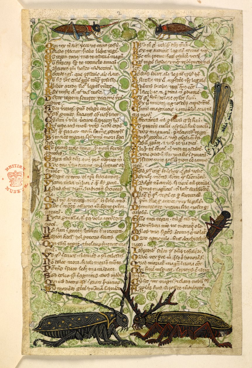 Horned beetles, crickets and a locus, Treatise on the Virtues and Vices, and an anonymous prose history of Sicily (fragment) by Master of the Cocharelli Codex