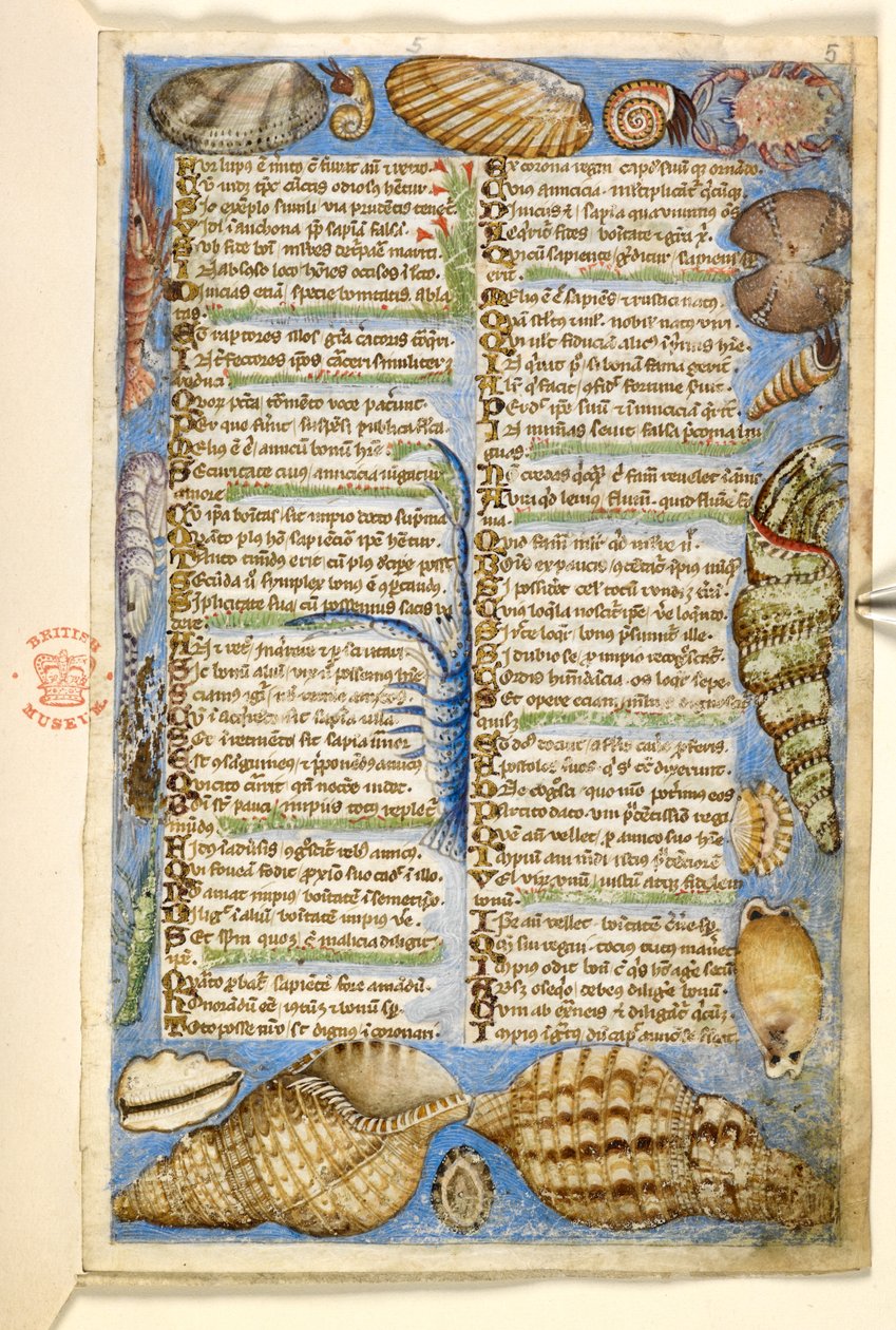 Shells and marine creature, from a Treatise on the Virtues and Vices, and an anonymous prose history of Sicily (fragment), c.1330-40 by Master of the Cocharelli Codex