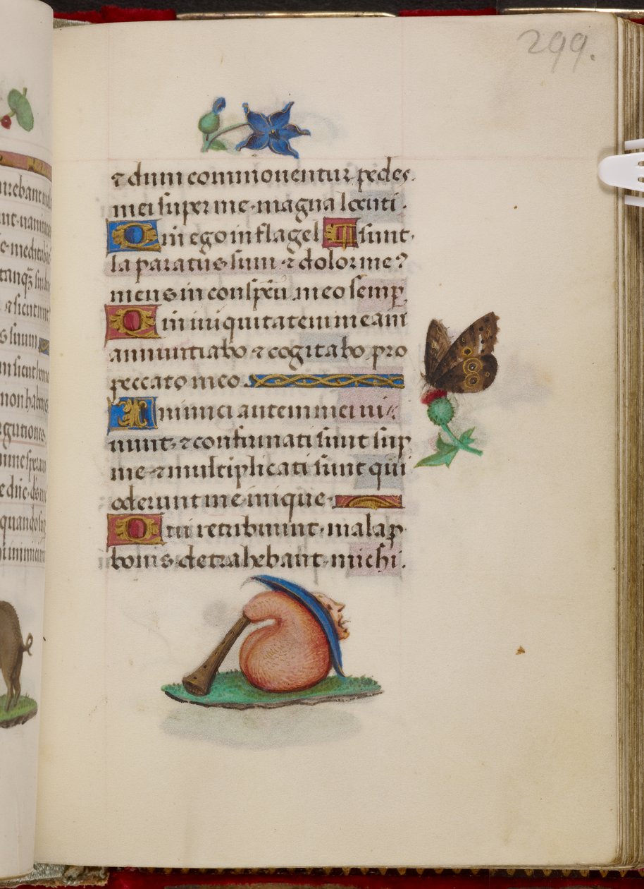 Bagpipe with hat from the Hours of Joanna of Castile by Master of the David Scenes