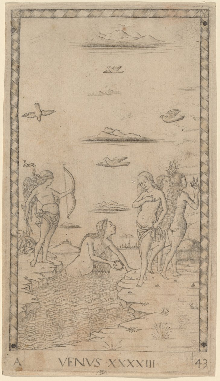 Venus by Master of the E Series Tarocchi