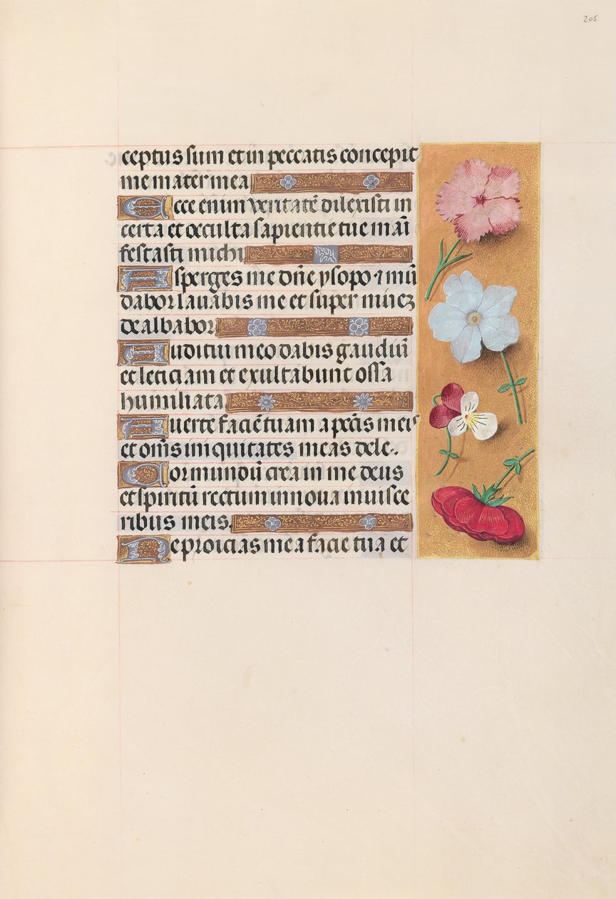 Hours of Queen Isabella the Catholic, Queen of Spain: Fol. 205r by Master of the First Prayerbook of Maximillian