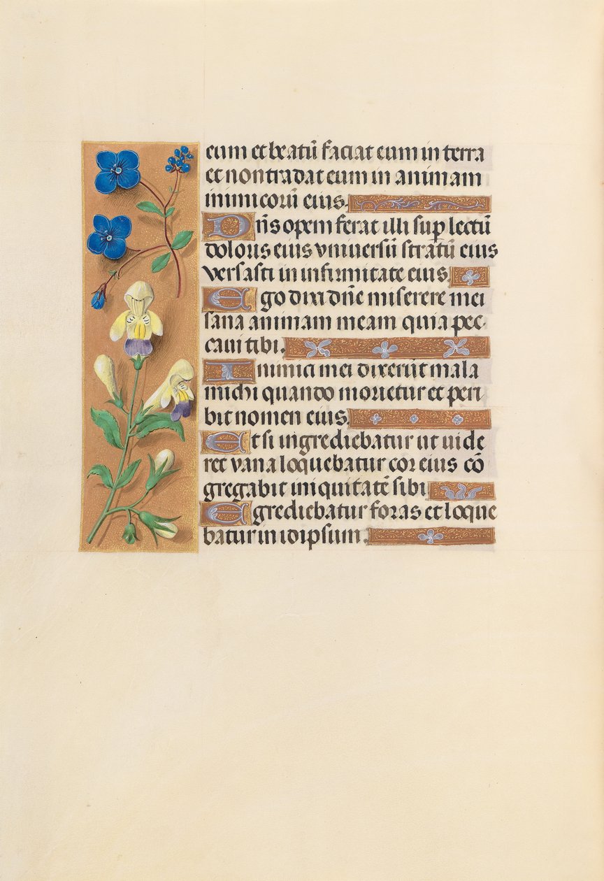 Hours of Queen Isabella the Catholic, Queen of Spain: Fol. 241v by Master of the First Prayerbook of Maximillian