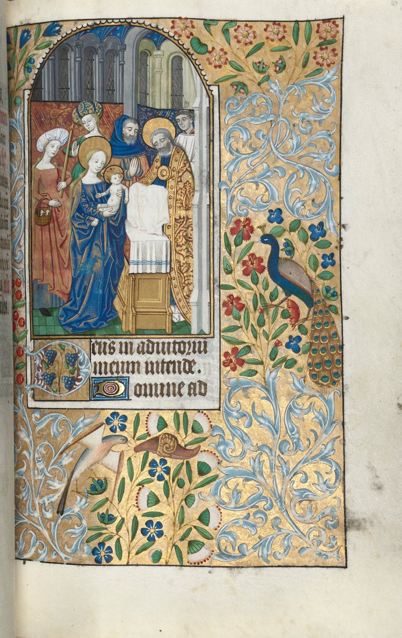 Book of Hours Use of Rouen: fol. 67r, Presentation of the Christ Child in the Temple by Master of the Geneva Latini
