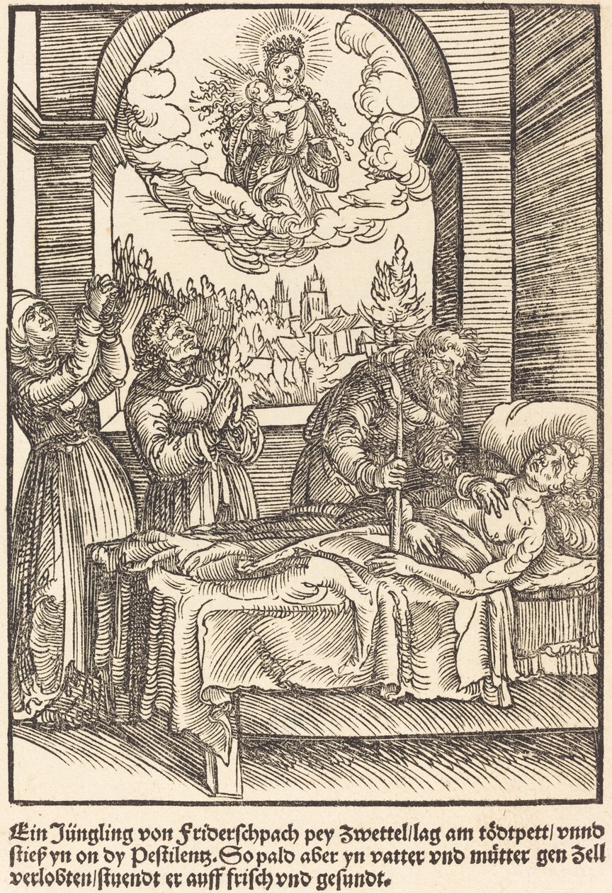 A Young Man from Friderschpach by Master of the Miracles of Mariazell