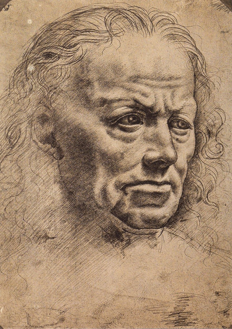 Head of a man by Master of the Pala Sforzesca