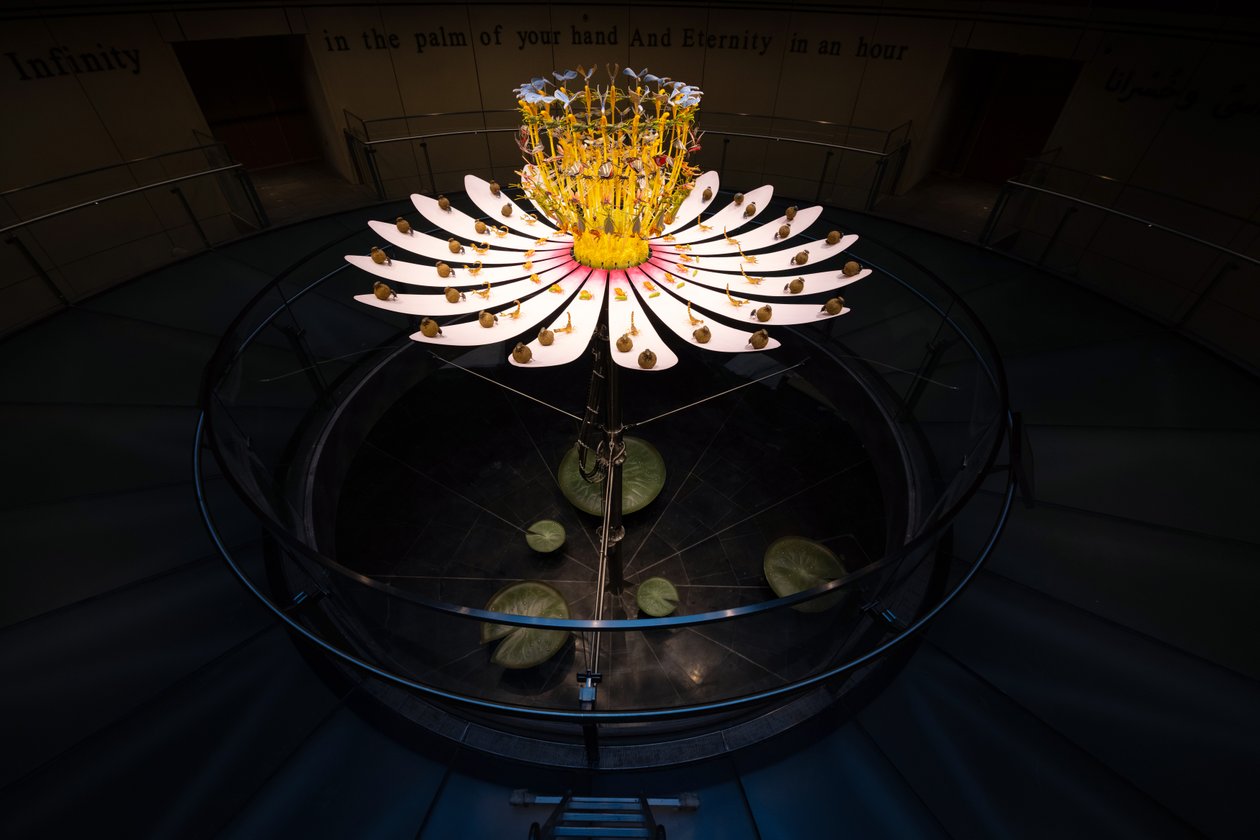 Equinox by Mat Collishaw