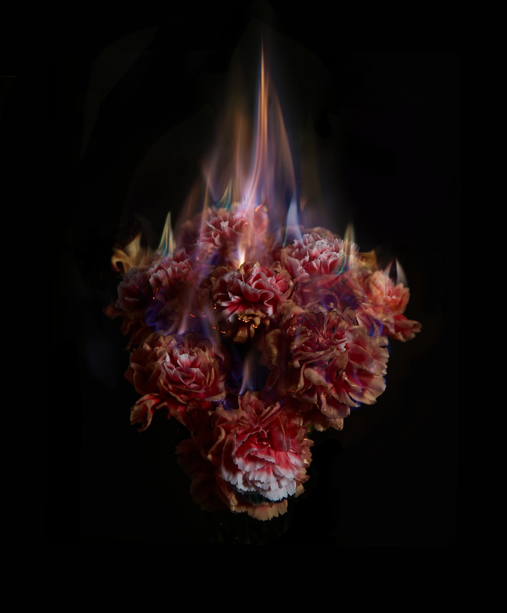 Fading Memories of the Sun, 2013 by Mat Collishaw
