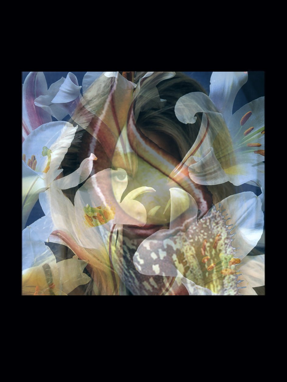 Flesheaters 3 by Mat Collishaw