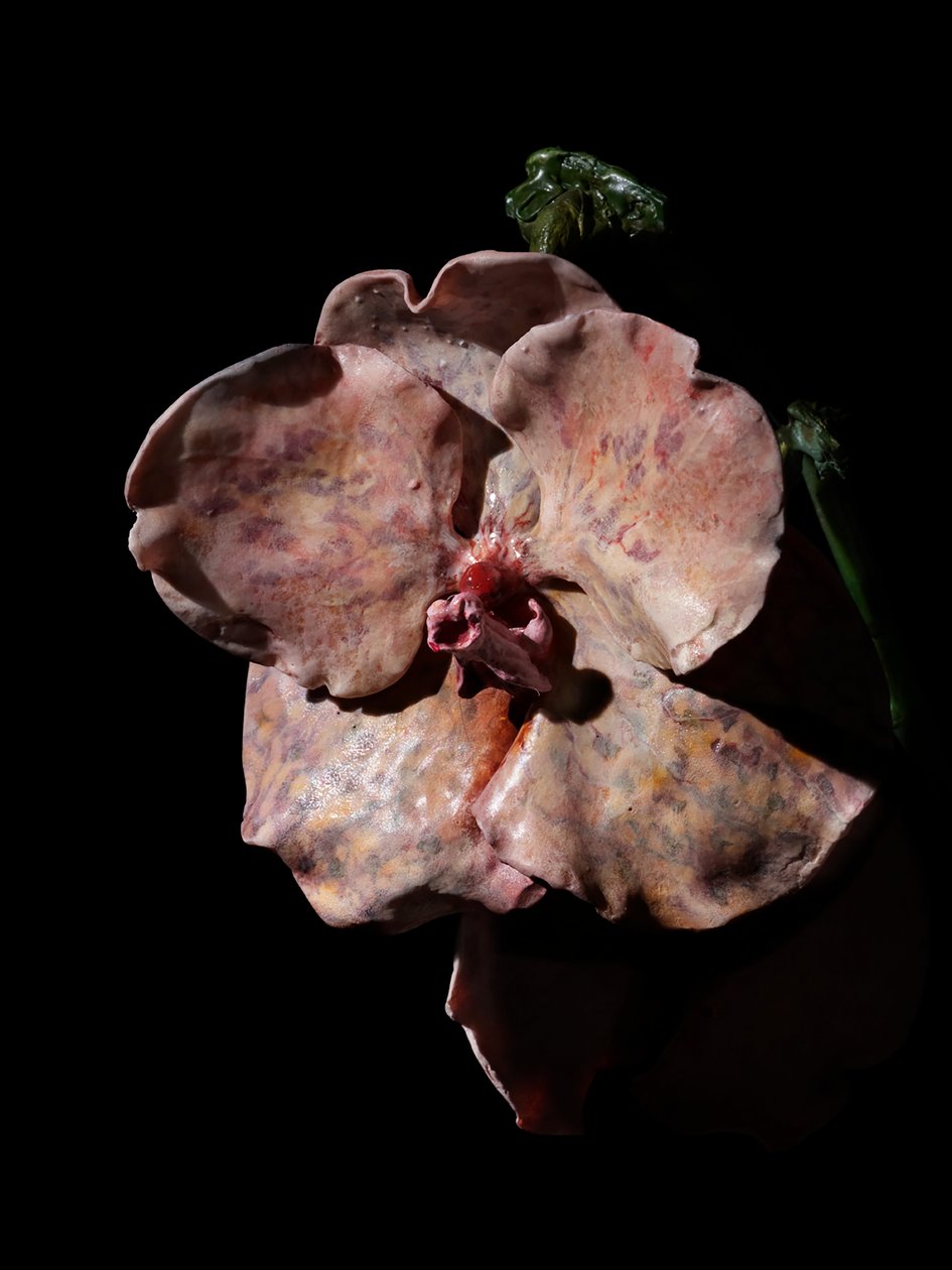 Venal Muse, Impetus, 2012 by Mat Collishaw