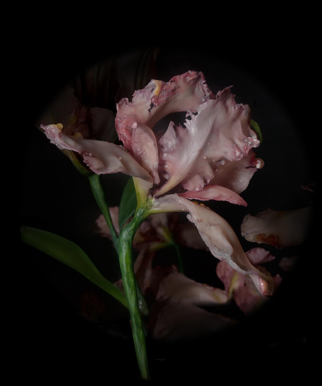Venal Muse, Viridor by Mat Collishaw