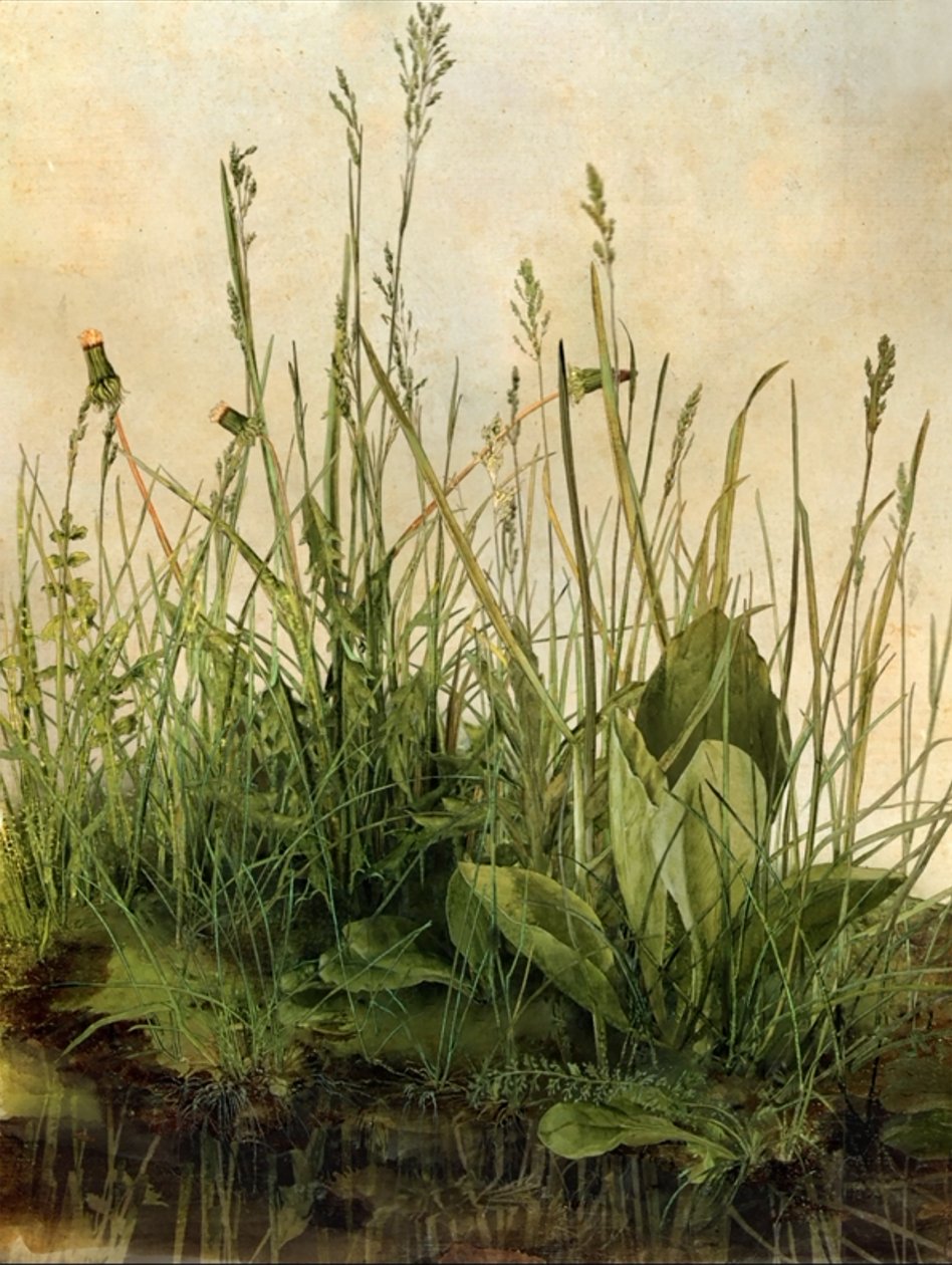 Whispering Weeds, 2011 by Mat Collishaw