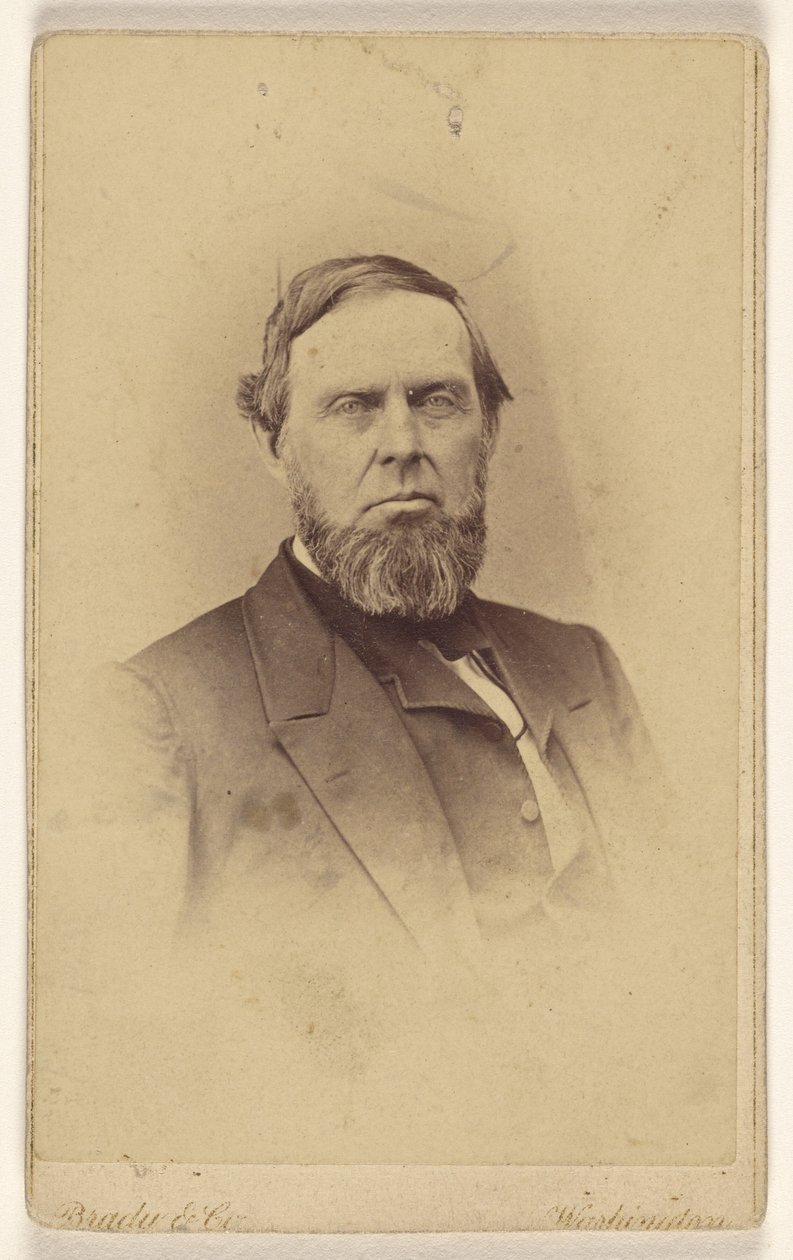 Unidentified Bearded Man, Printed in Vignette-Style by Mathew B. Brady