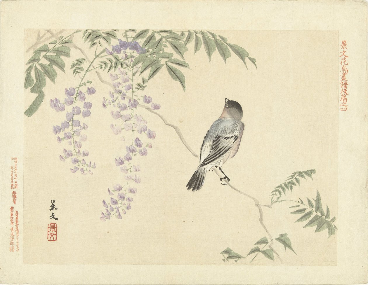 Bird on wisteria branch by Matsumura Keibun