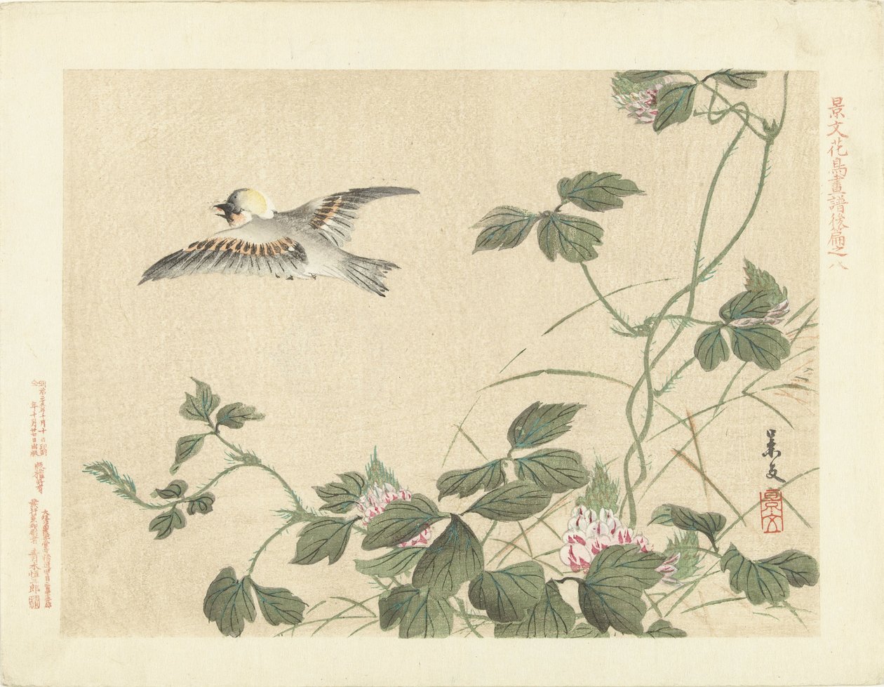 Flying Bird by Climbing Plant with Pink Flowers (Flower and Bird Sketches by Keibun - Part Three) by Matsumura Keibun
