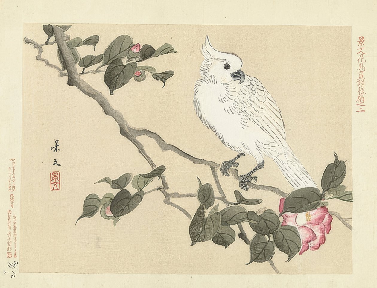 White Cockatoo on a Camellia Branch. 1892 by Matsumura Keibun