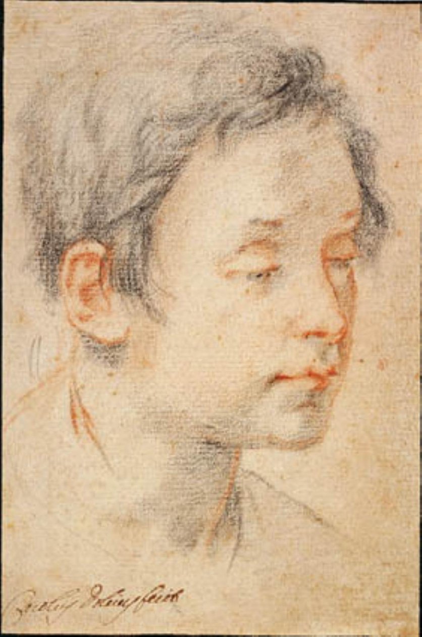 Head of a Young Man Turned to the Right by Matteo Rosselli