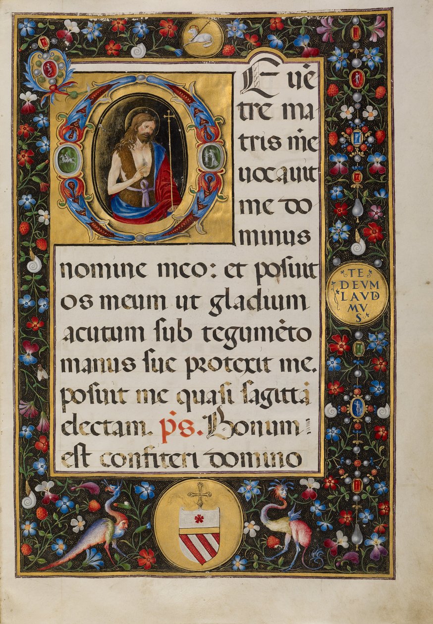 Initial D: Saint John the Baptist by Matteo da Milano