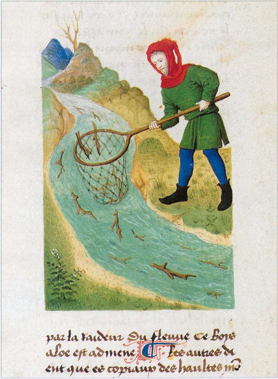 The Book of Simple Medicines - Translation into French from the 12th Century Latin Manuscript of Matthaeus Platearius by Matthaeus Platearius