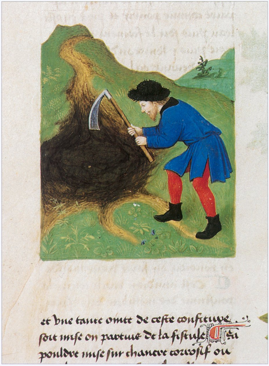 The Book of Simple Medicines - Translation into French from the 12th Century Latin Manuscript of Matthaeus Platearius by Matthaeus Platearius