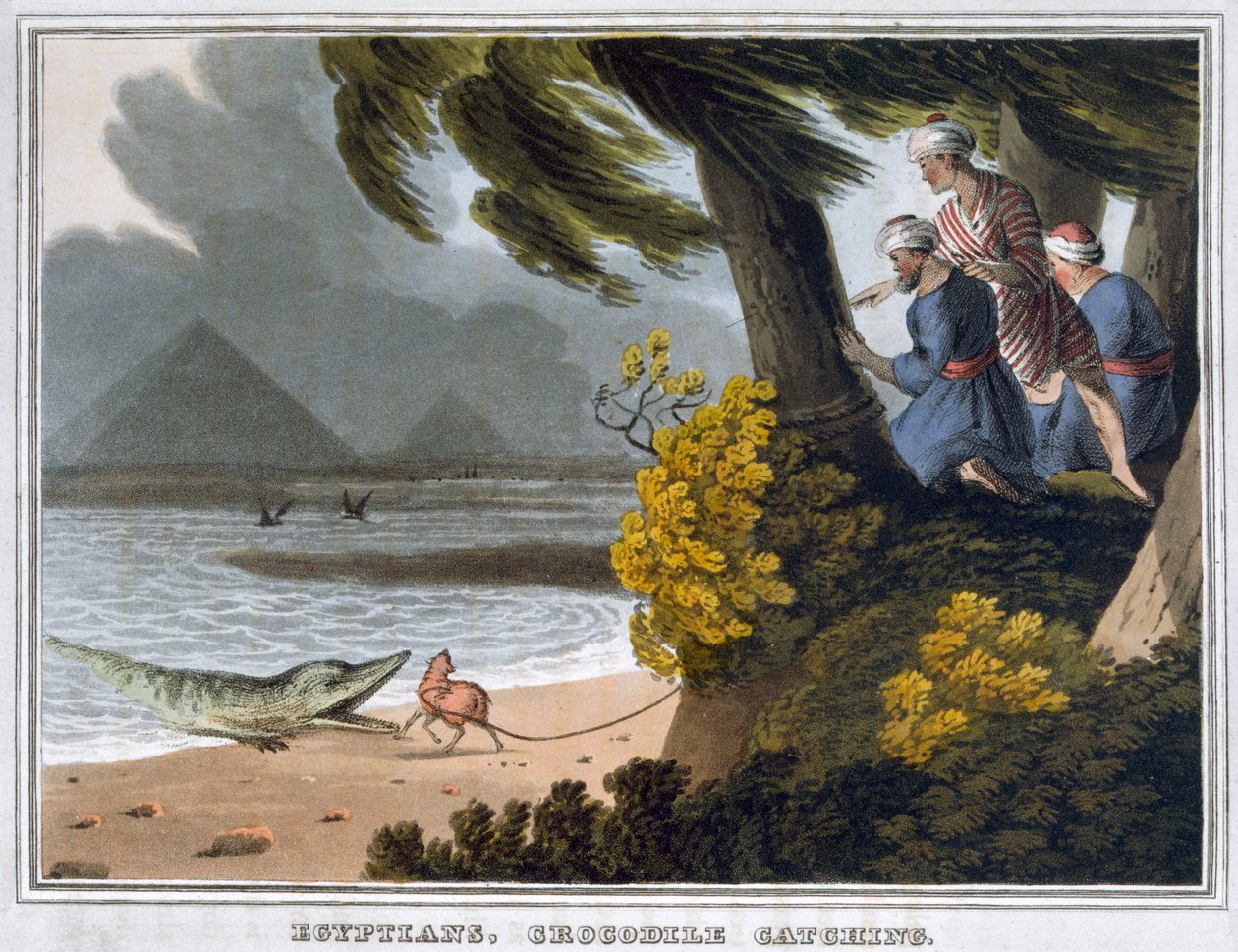 Egyptians, Crocodile Catching by Matthew Dubourg