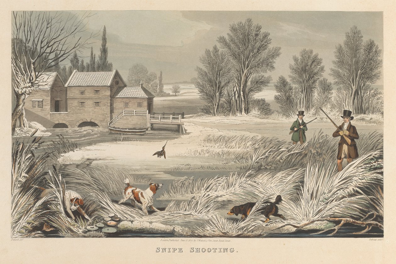 Snipe Shooting by Matthew Dubourg
