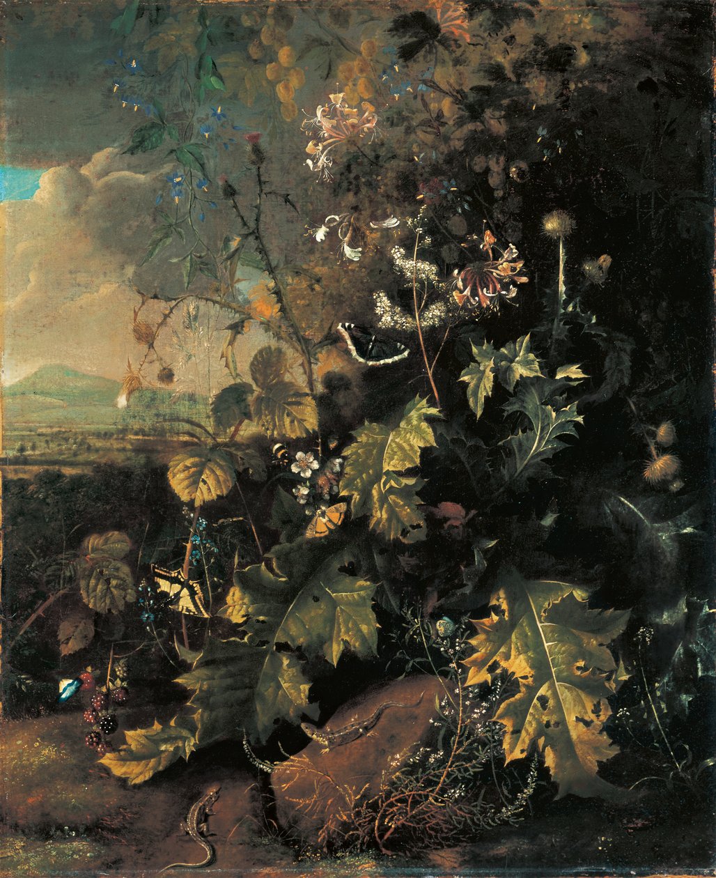 Forest Floor with Butterflies and Lizards by Matthias Withoos