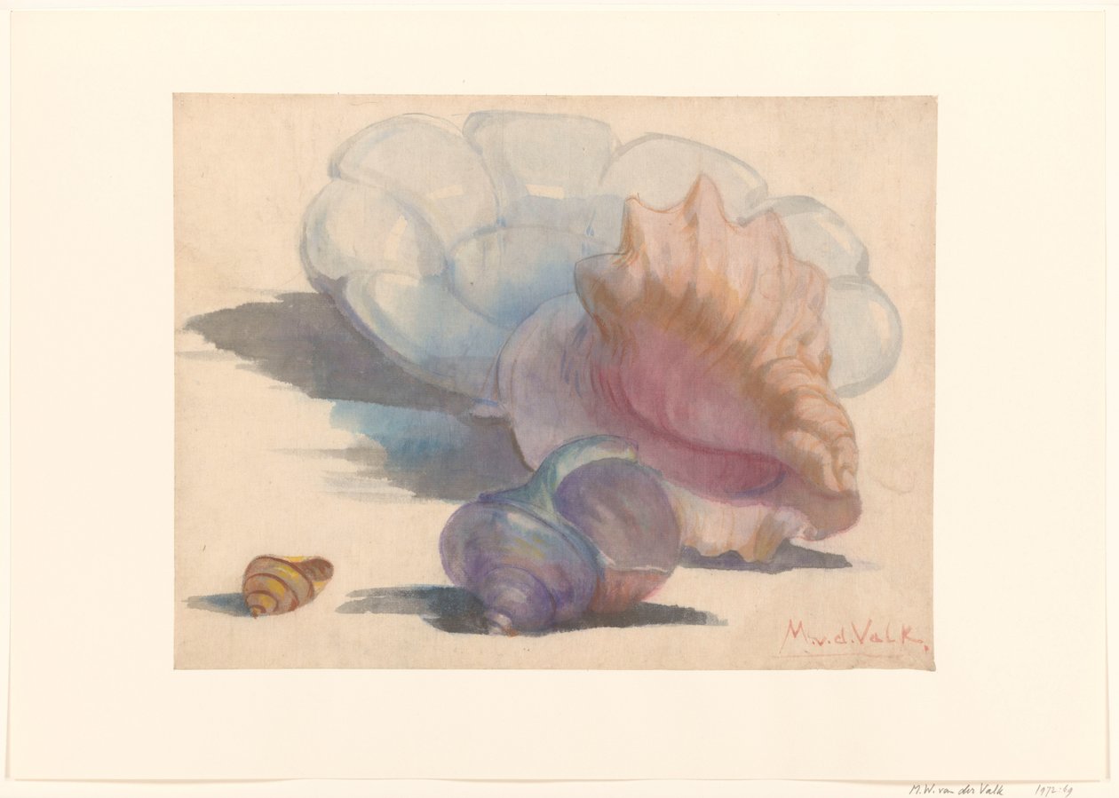 Three Shells by a Delft Folded Dish by Maurits van der Valk