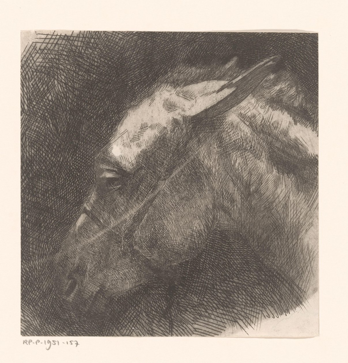Head of a Mule by Maurits van der Valk