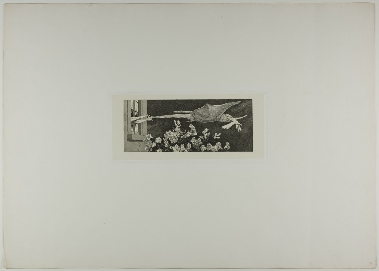 Abduction, plate nine from A Glove by Max Klinger