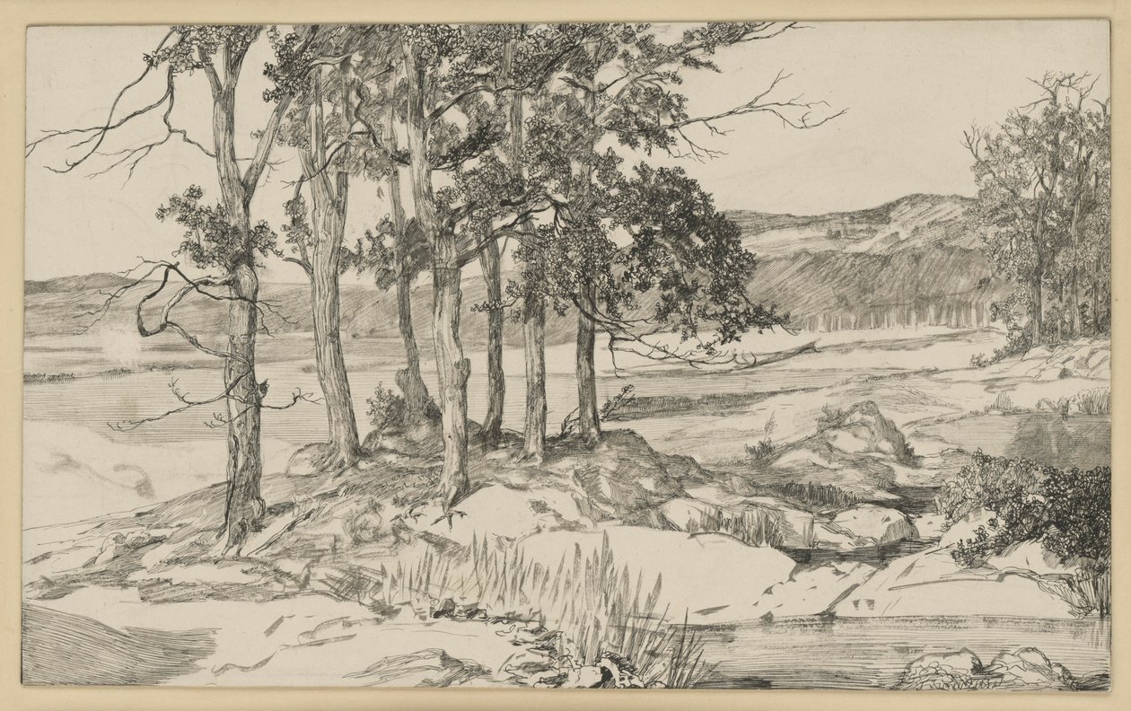 Landscape with Pine Stand and Pond by Max Klinger