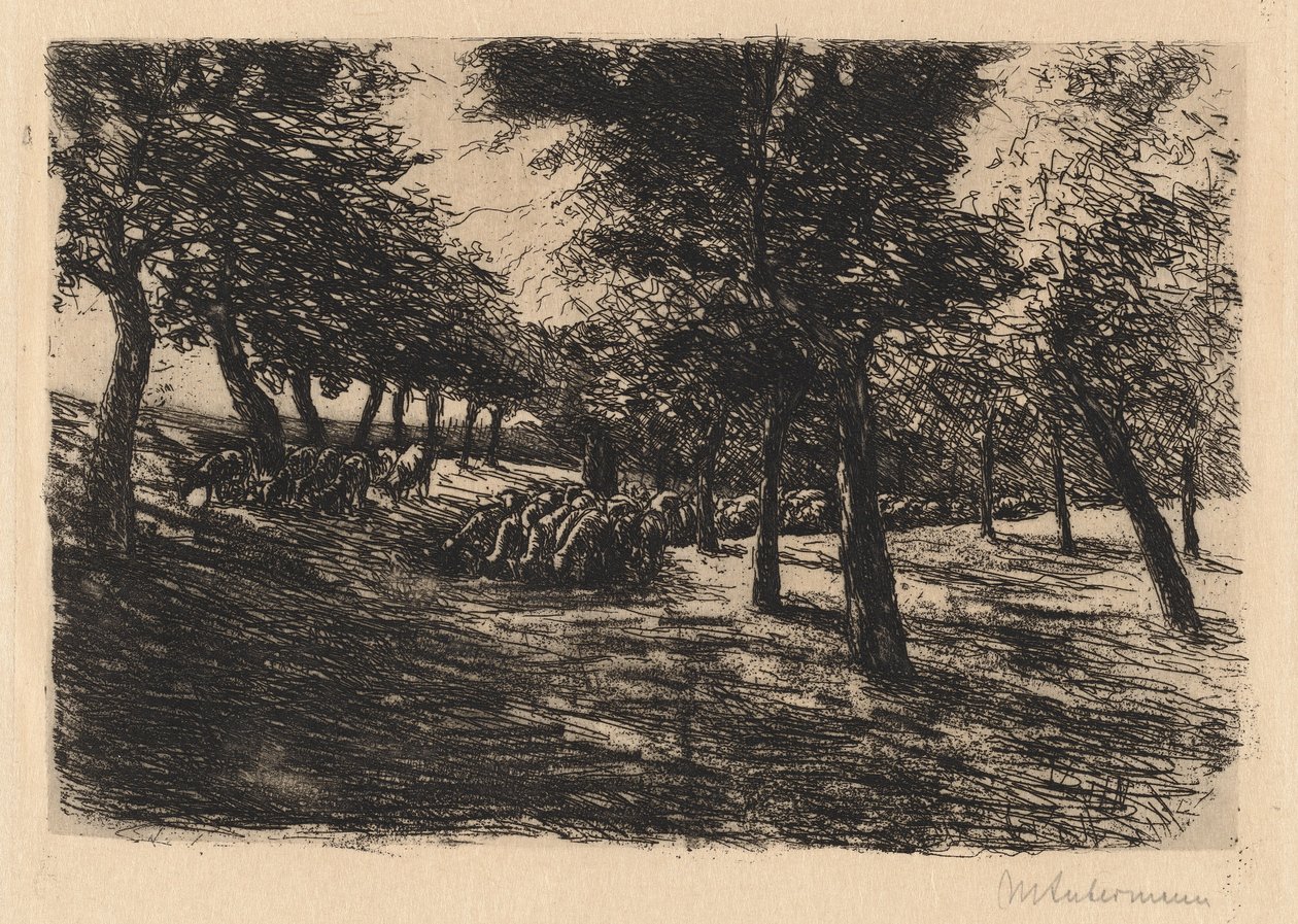 Herd of Sheep Under Trees by Max Liebermann
