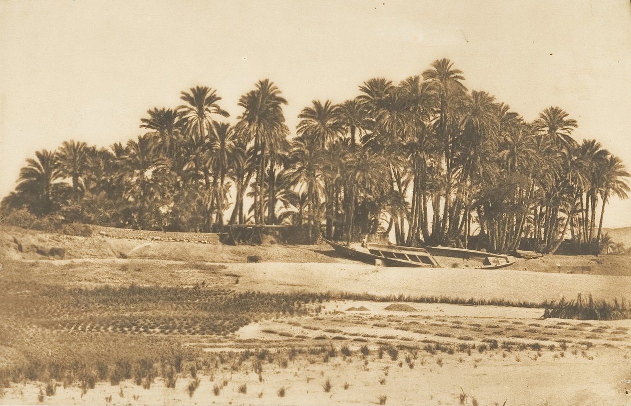 View of Elephantine Island, opposite Aswan, 1849-50 by Maxime Du Camp