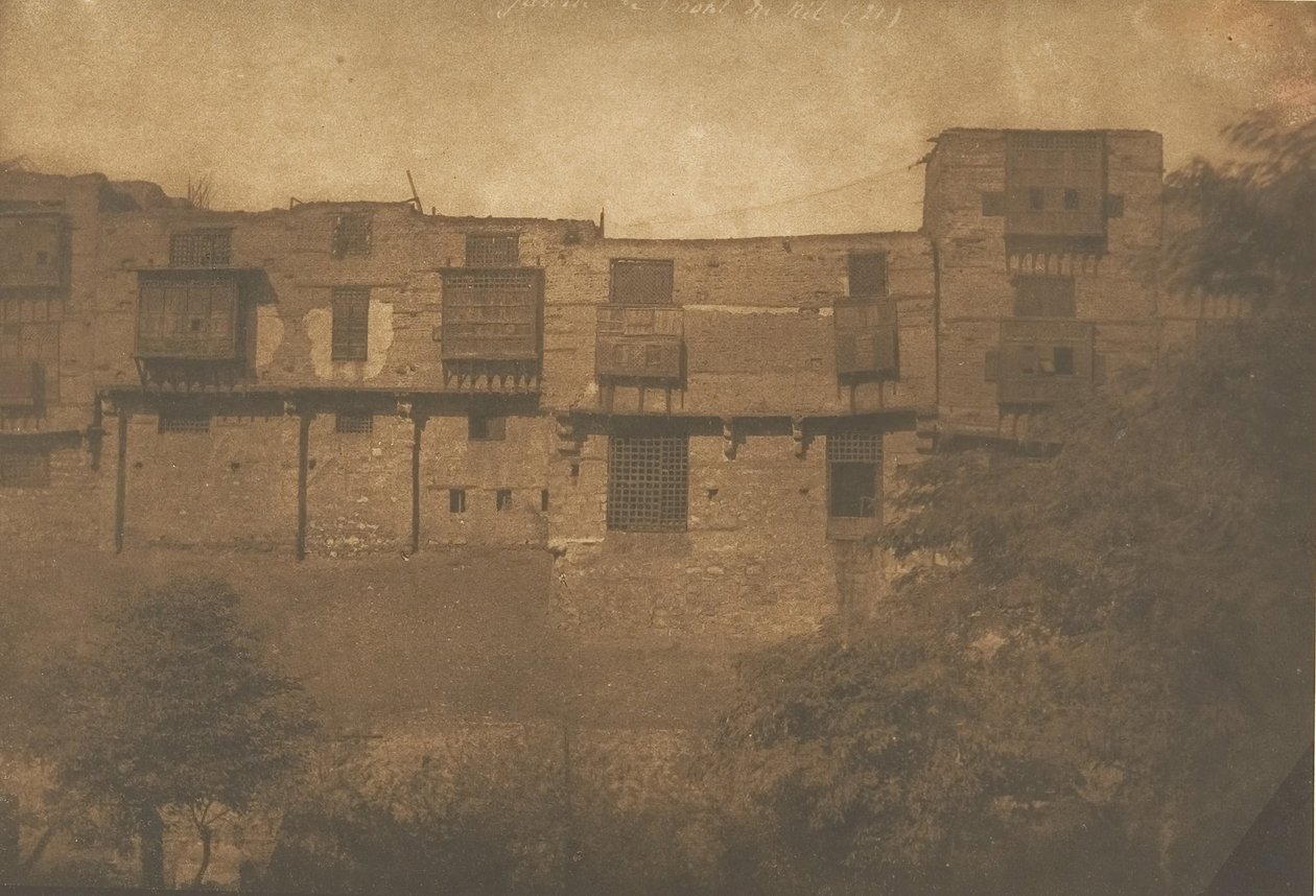View from a Garden in the French Quarter, Cairo by Maxime Du Camp