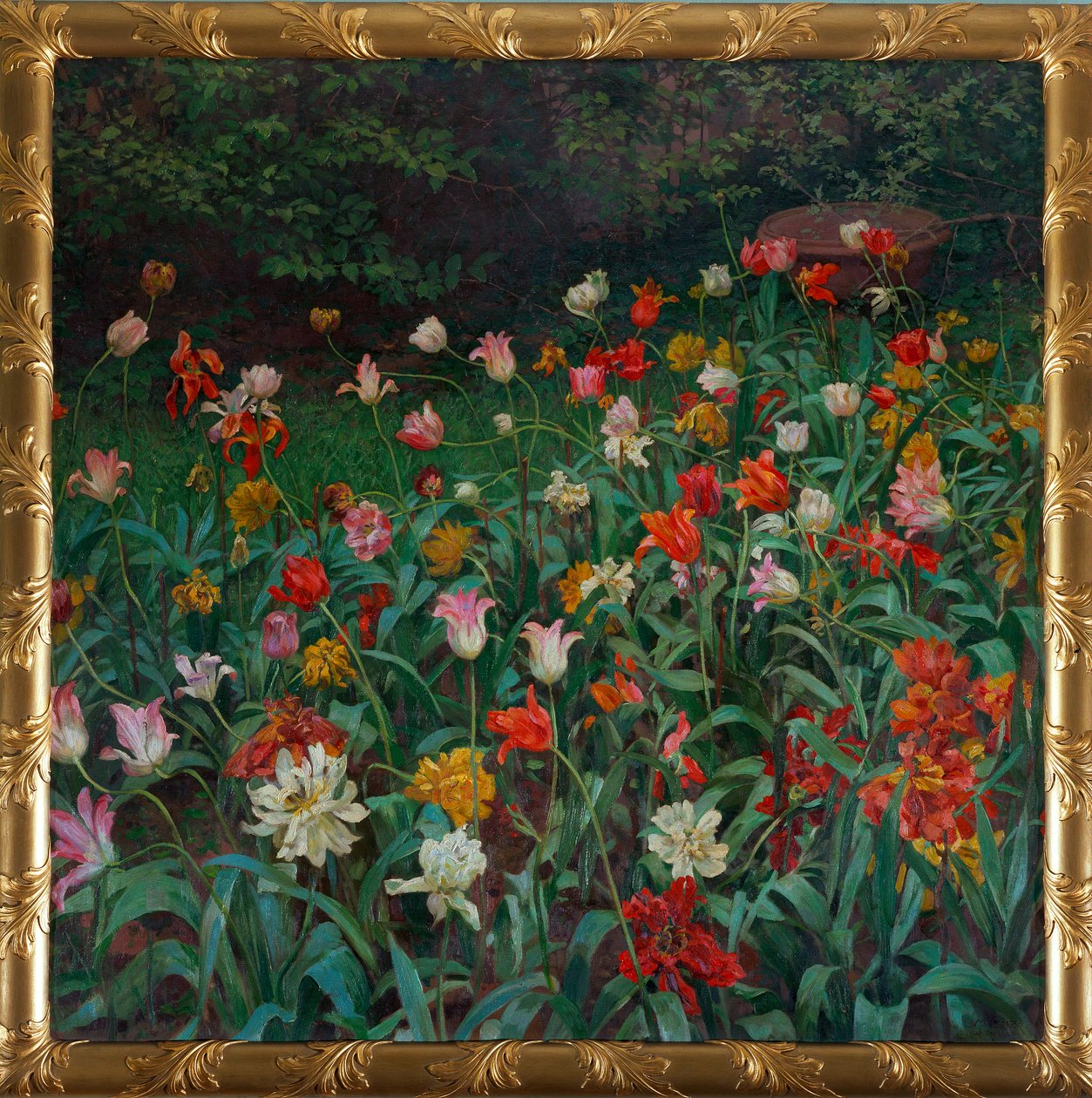Tulips by Maximilian Lenz