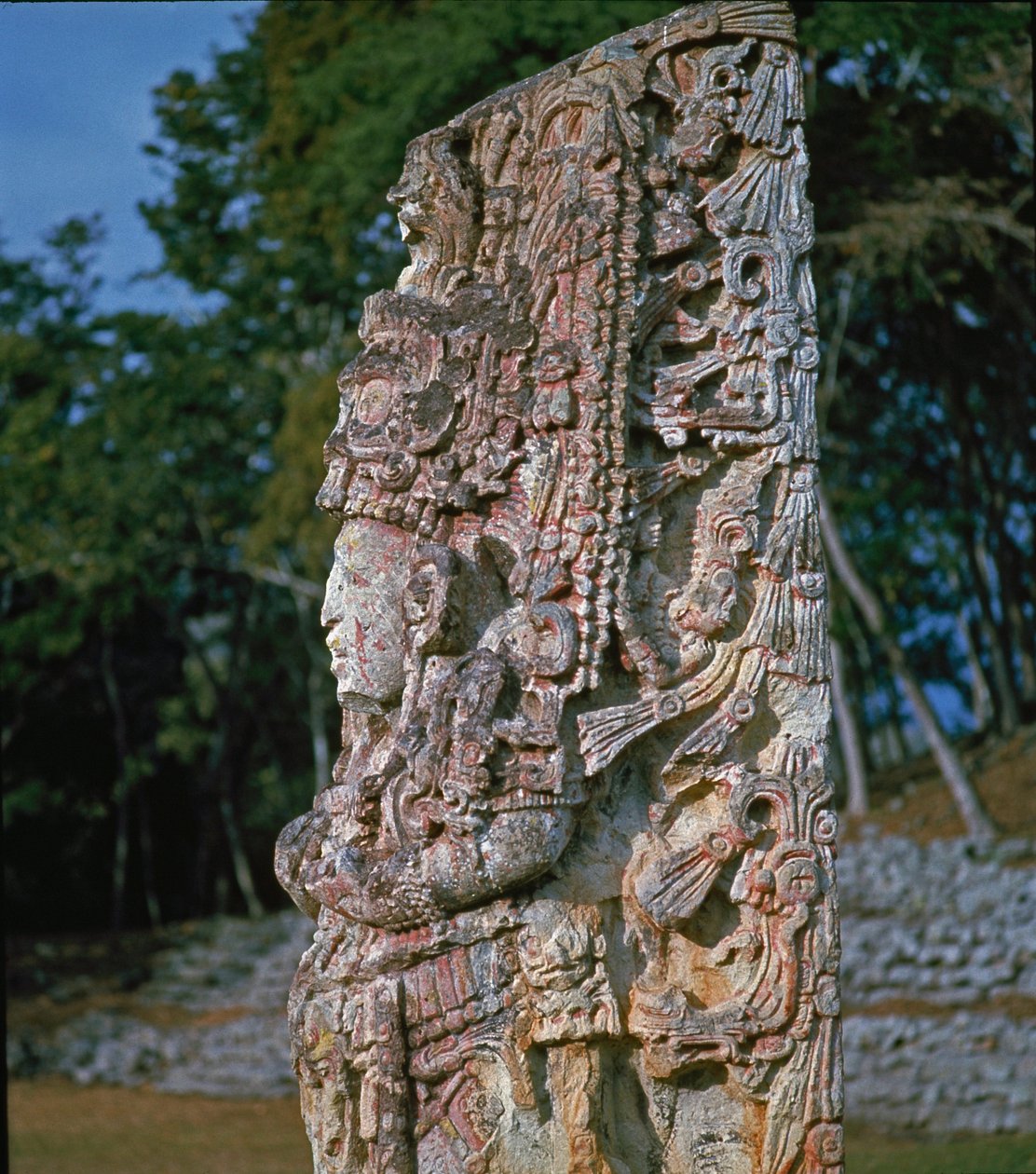 Stele H, Plaza de Ceremonias, 731 AD by Mayan
