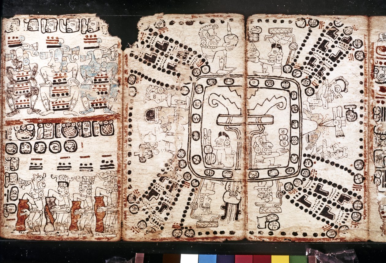 Maya Civilization: Codex Tro-Cortesiano by Mayan Mayan