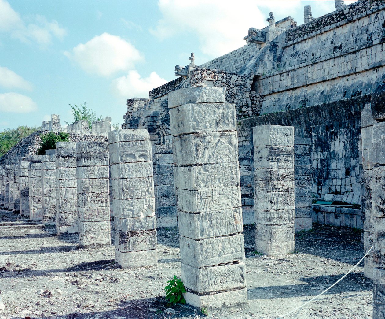 Pre-Columbian Civilization: View of the Site of Chichen Itza by Mayan Mayan