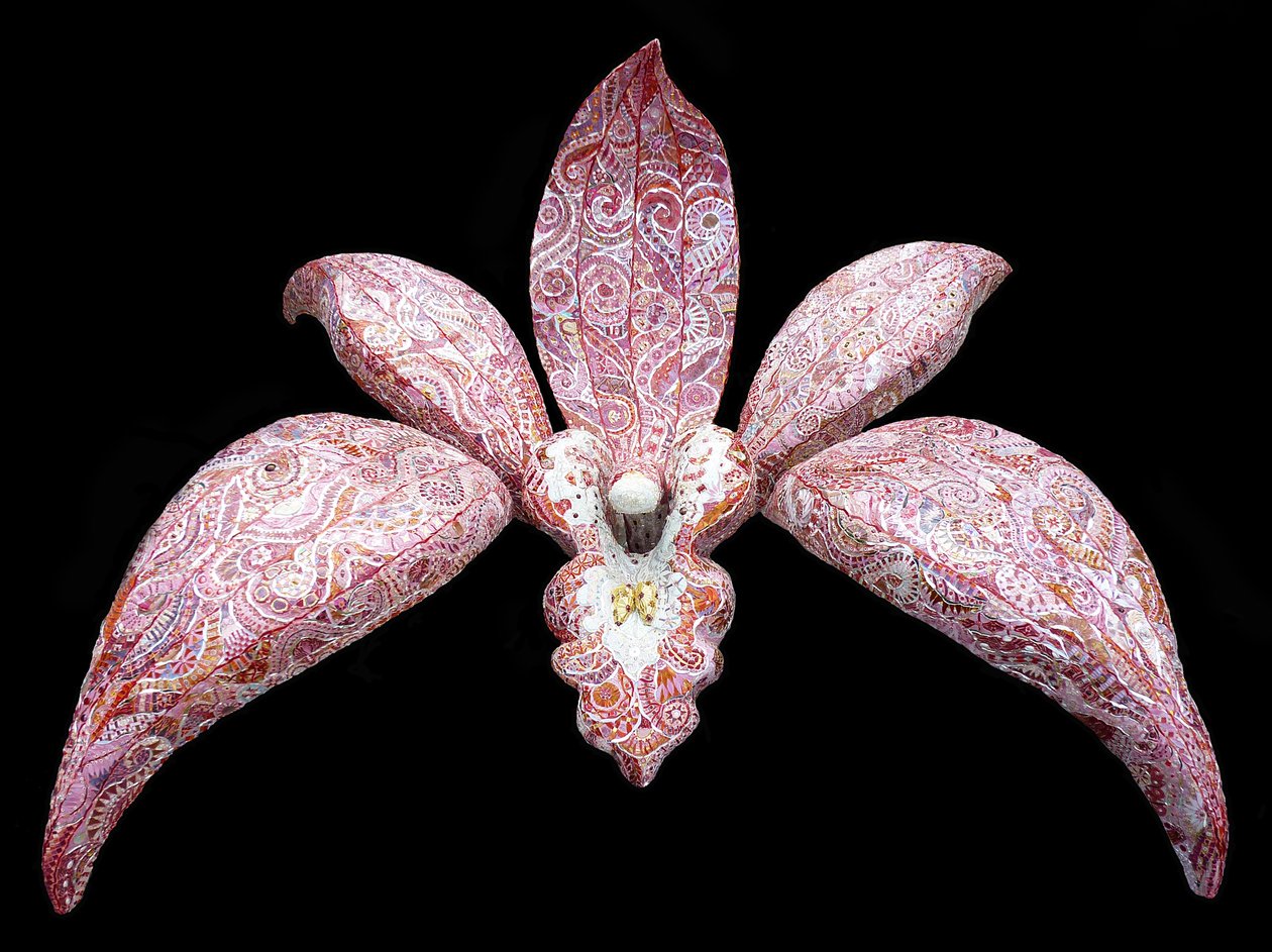 Orchid by Maylee Christie