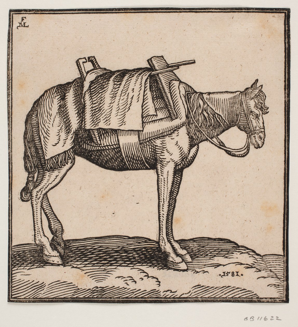 A Saddled-Up Carrier-Horse by Melchior Lorck