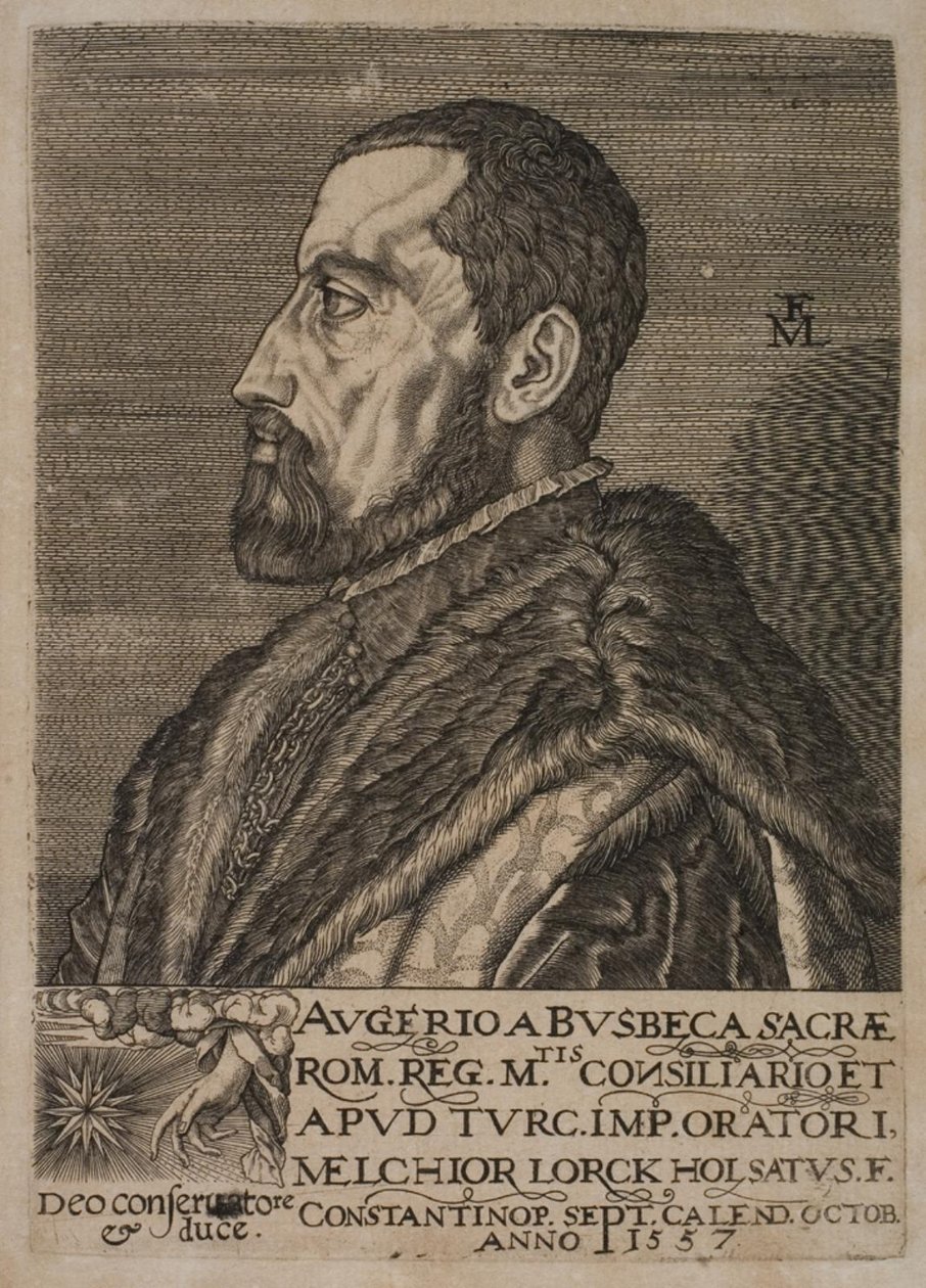 Portrait of Ogier Ghiselin de Busbecq, Imperial Envoy by Melchior Lorck