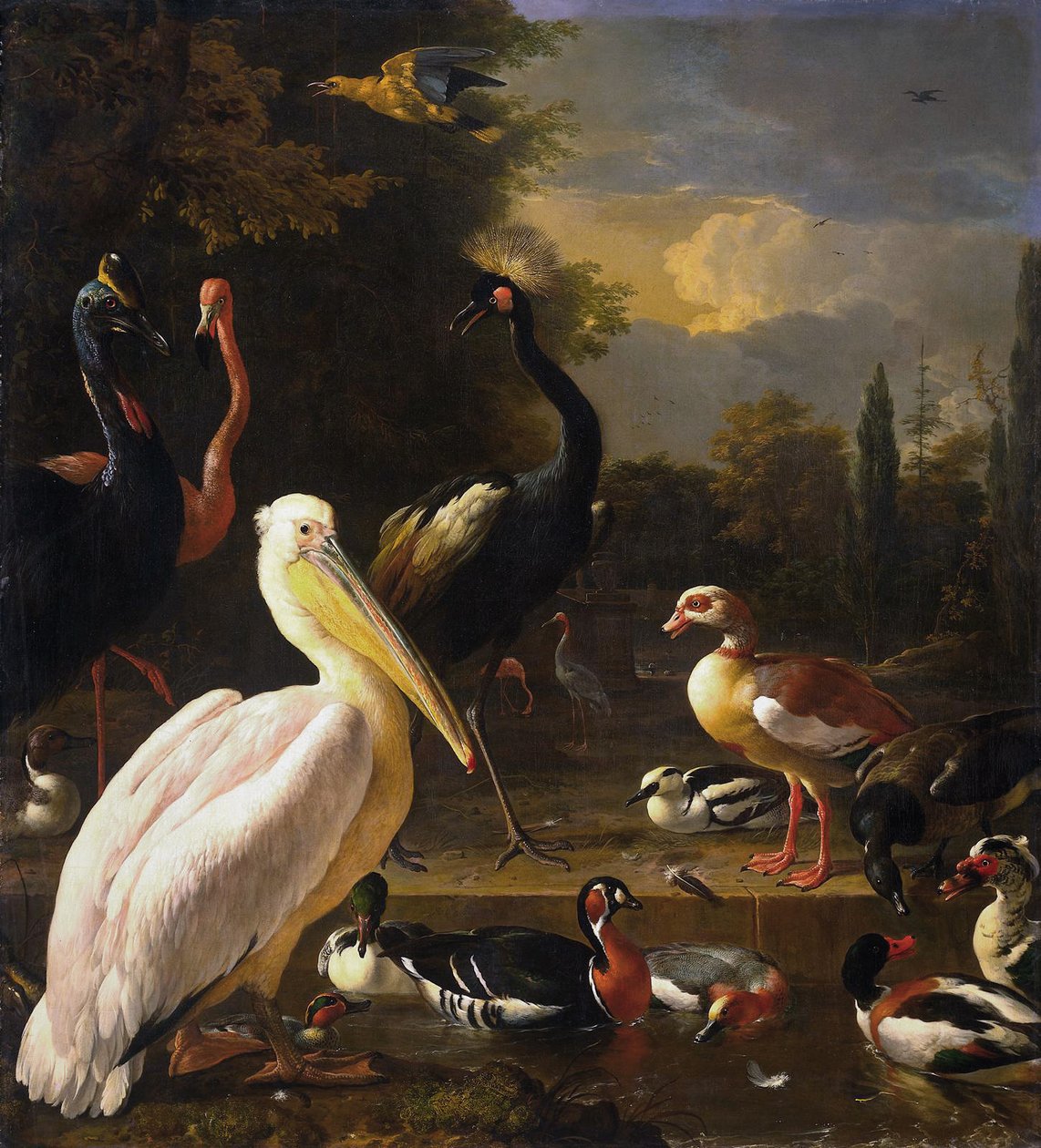 A Pelican and Other Birds Near a Pool, Known as 