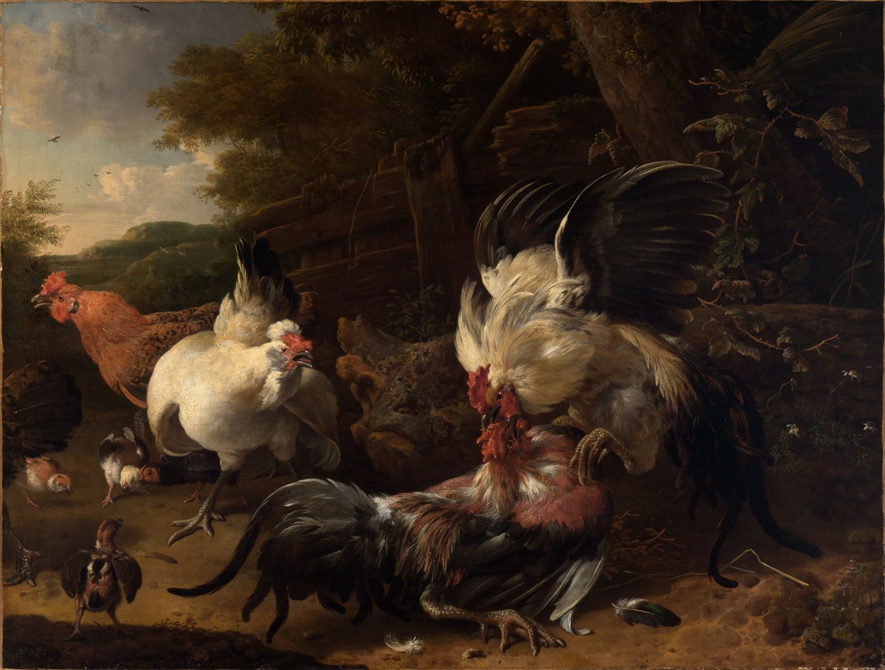 Fighting Roosters by Melchior de Hondecoeter
