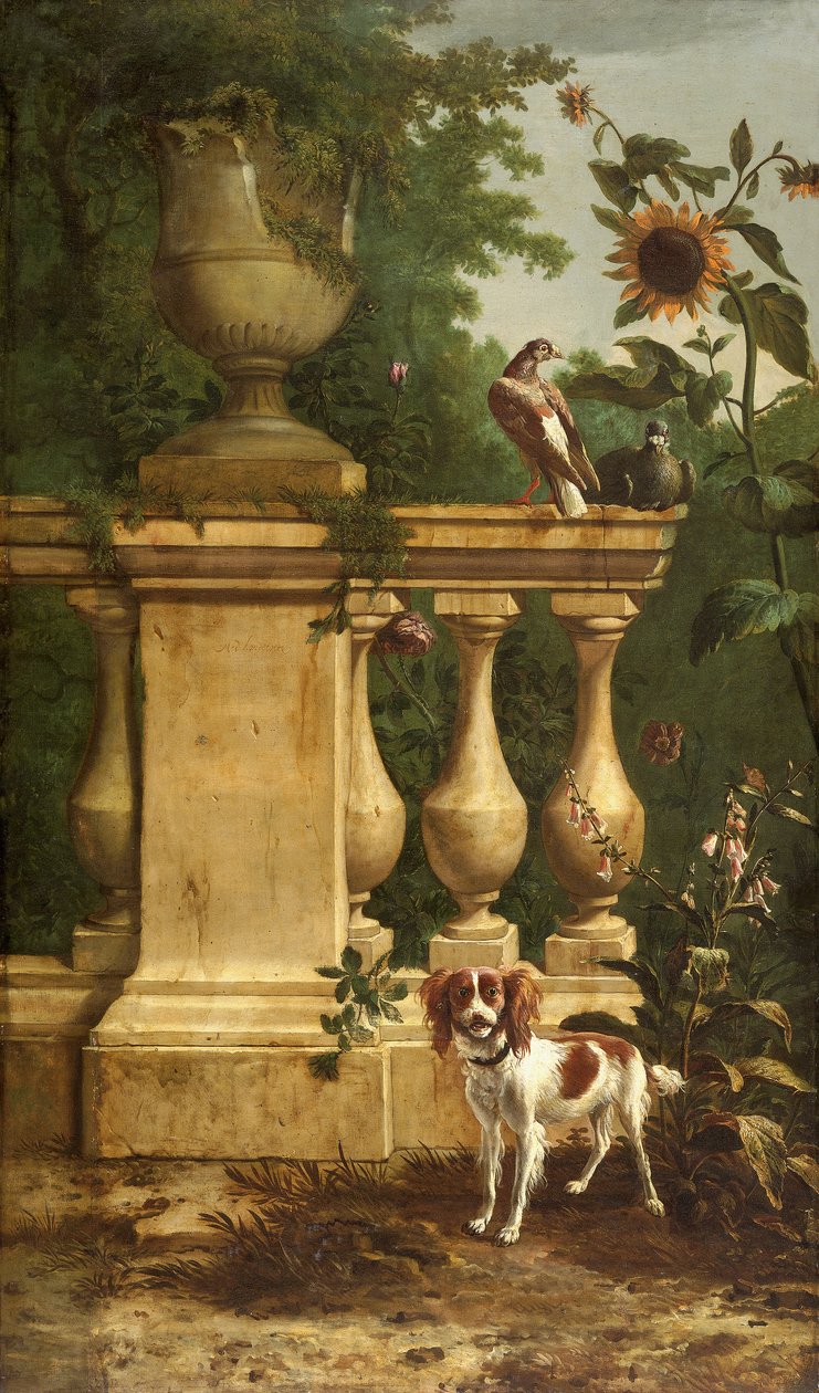 Pigeons and a Dog in a Garden by Melchior de Hondecoeter