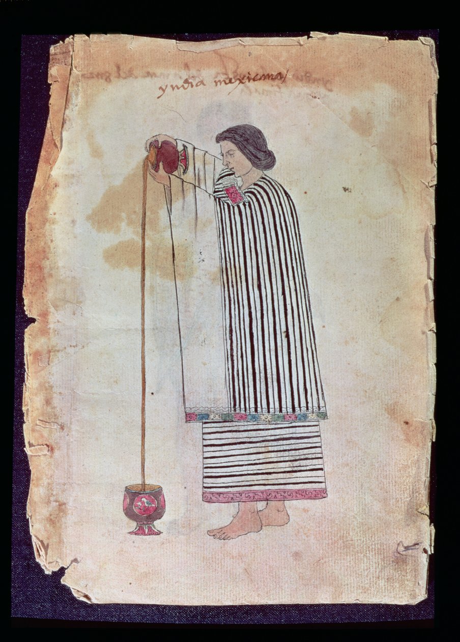 Mexican Indian Preparing Chocolate, from the Codex Tuleda, 1553 by Mexican School